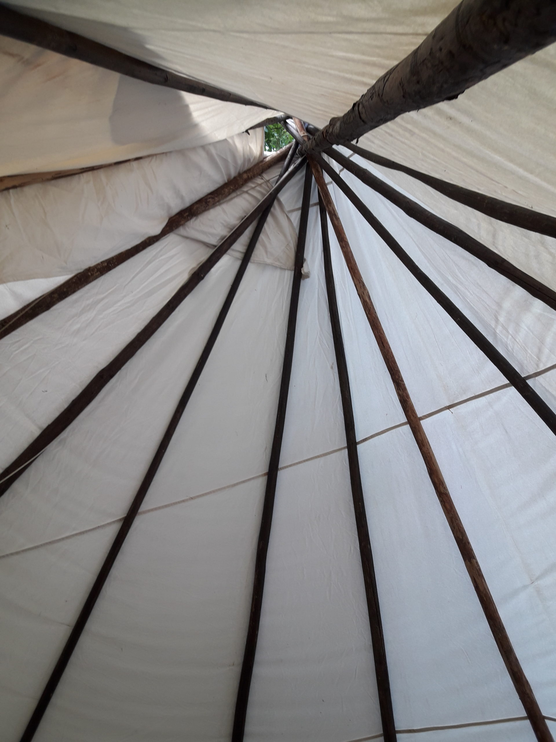 das neue Tipi